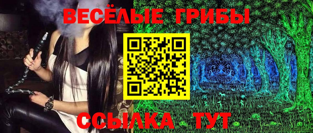 Галлюциногенные грибы Psilocybine cubensis Саяногорск